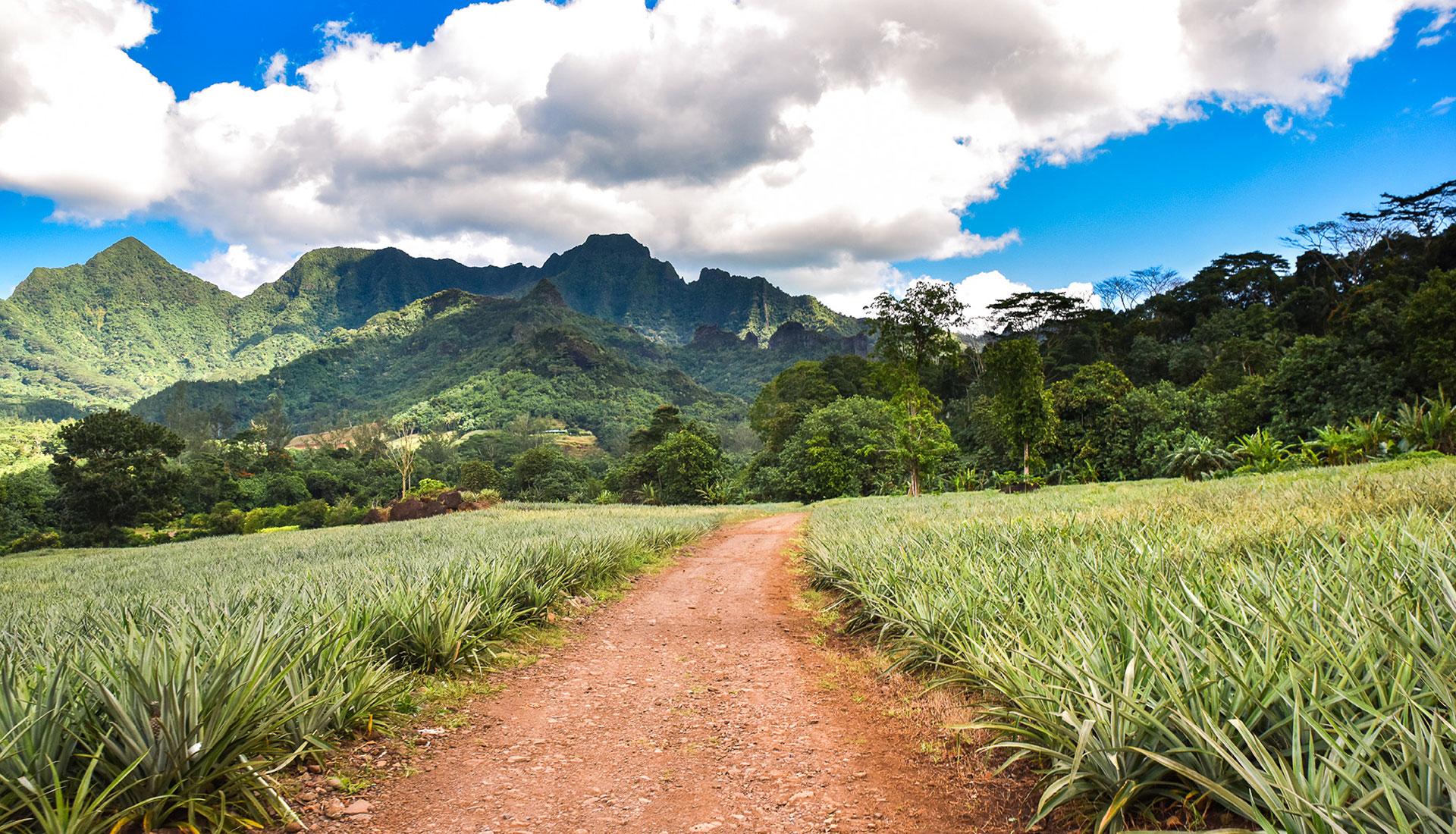 Peter Griffin Exposes Cigarette Company #familyguy #fyp #clips Australia